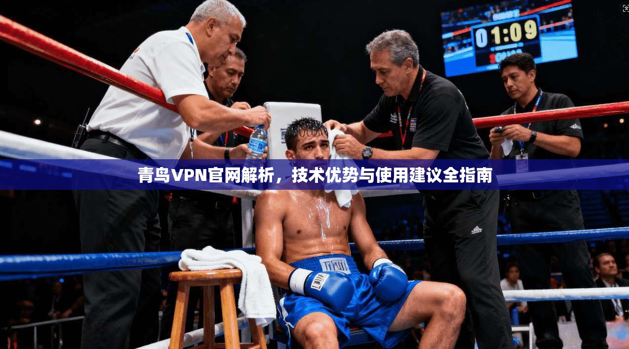 青鸟VPN官网解析，技术优势与使用建议全指南