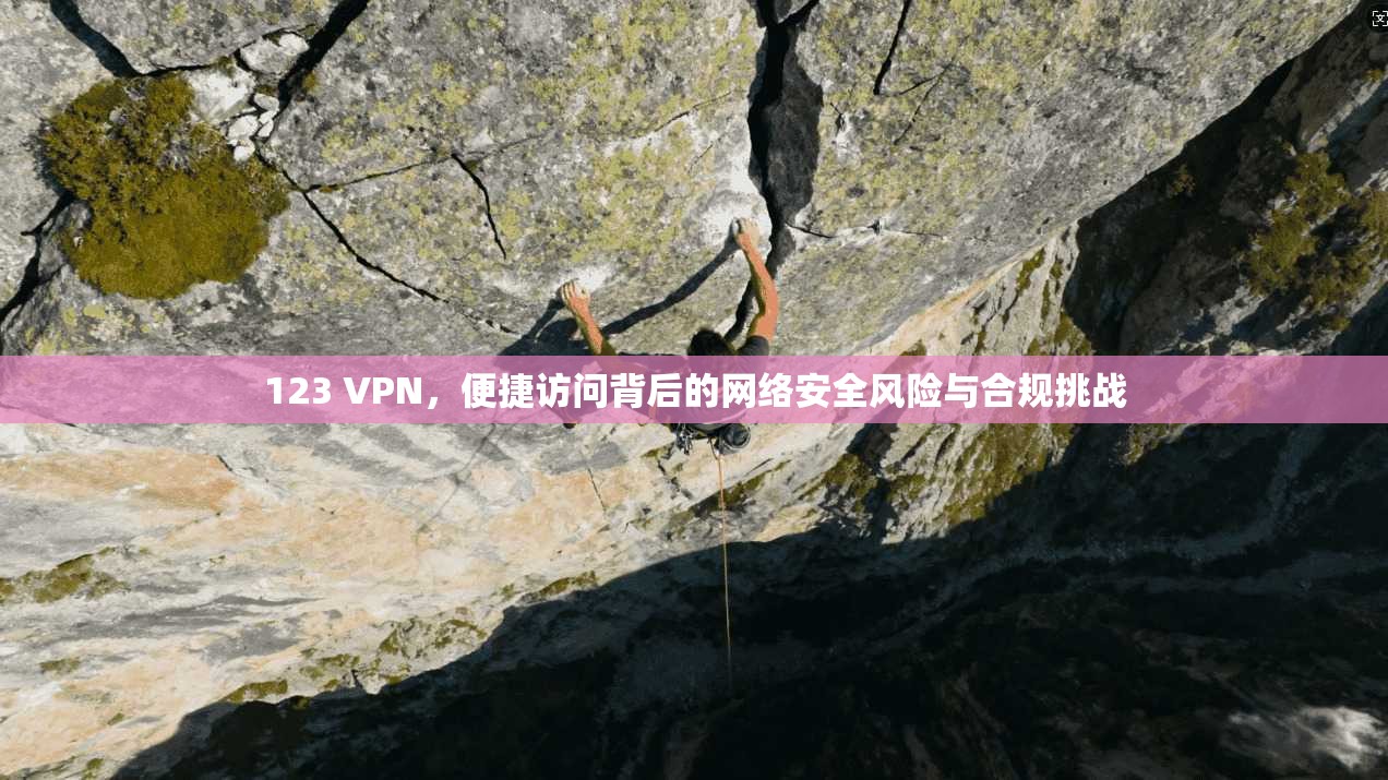 123 VPN，便捷访问背后的网络安全风险与合规挑战