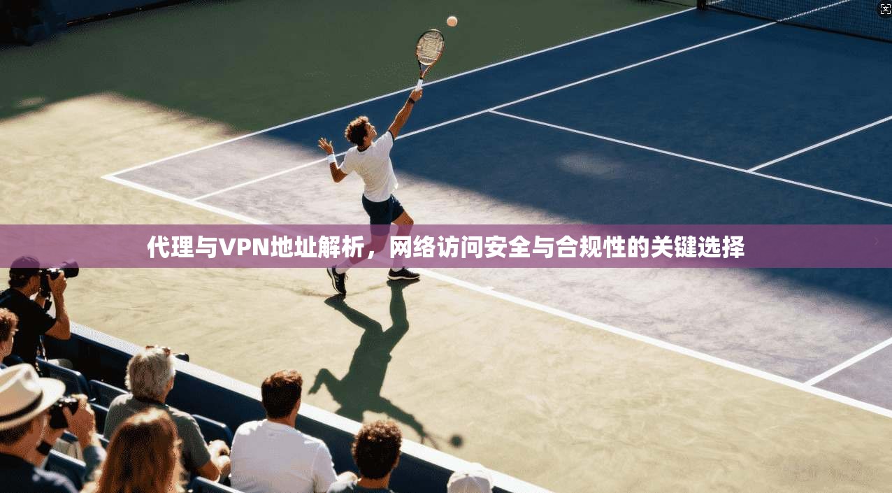 代理与VPN地址解析，网络访问安全与合规性的关键选择