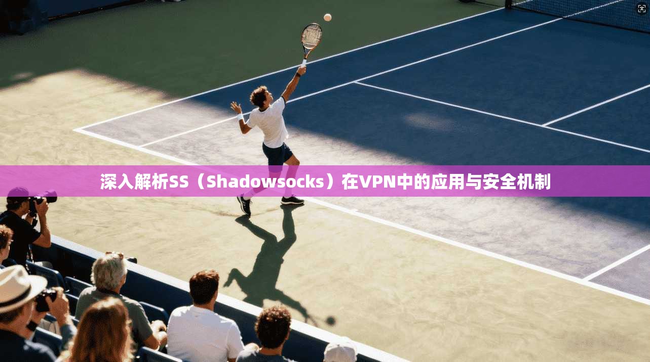 深入解析SS（Shadowsocks）在VPN中的应用与安全机制