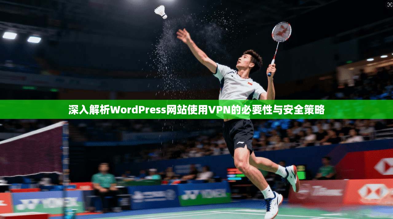 深入解析WordPress网站使用VPN的必要性与安全策略