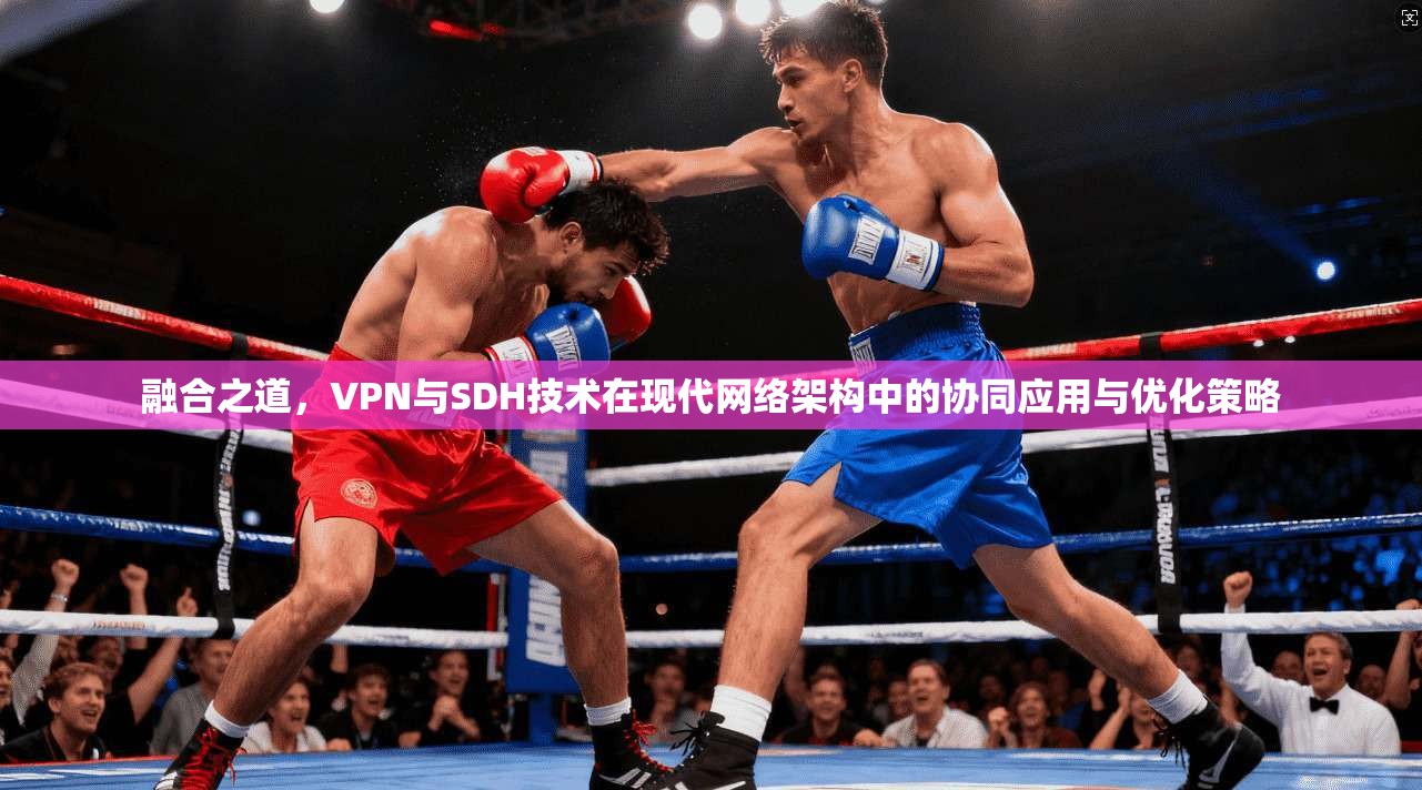 融合之道，VPN与SDH技术在现代网络架构中的协同应用与优化策略