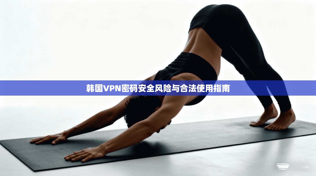 韩国VPN密码安全风险与合法使用指南