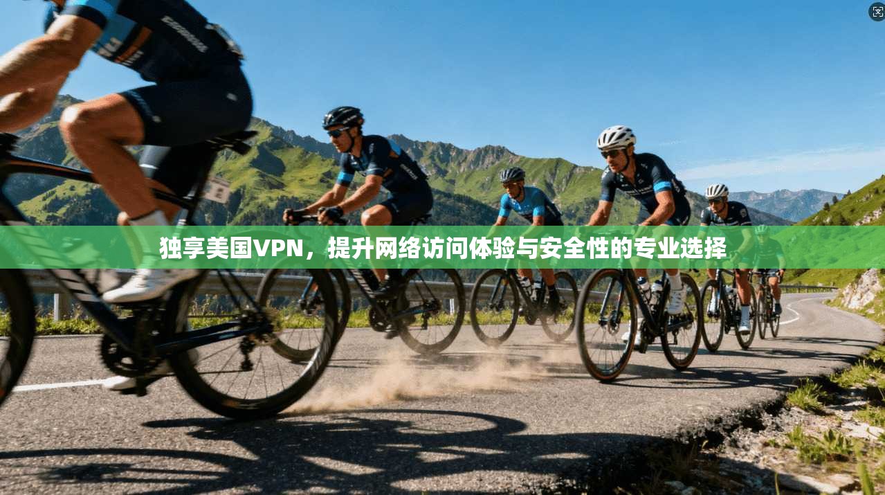独享美国VPN，提升网络访问体验与安全性的专业选择