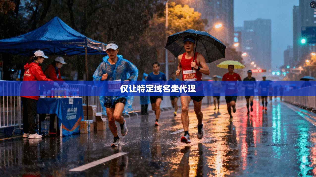 仅让特定域名走代理