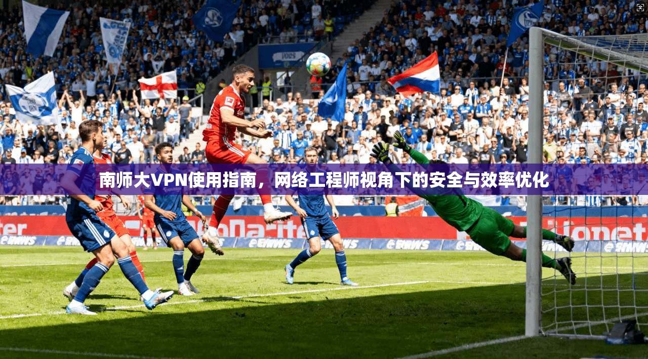 南师大VPN使用指南，网络工程师视角下的安全与效率优化