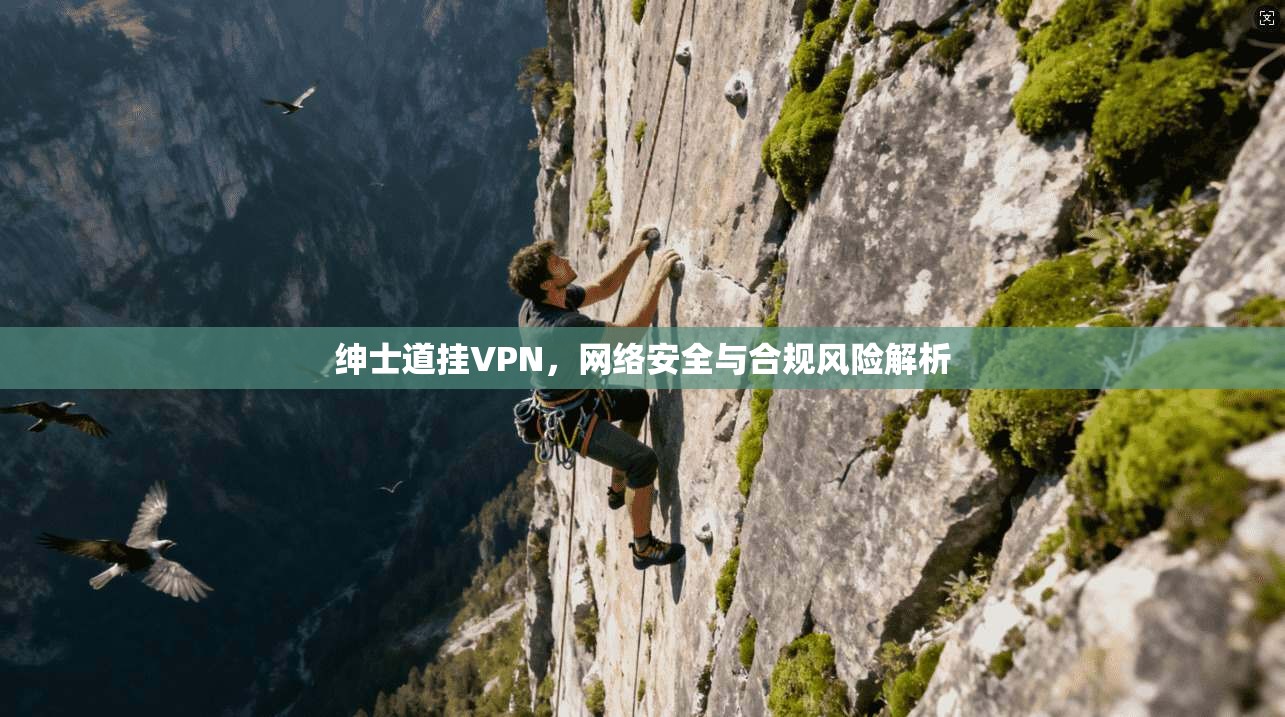 绅士道挂VPN，网络安全与合规风险解析