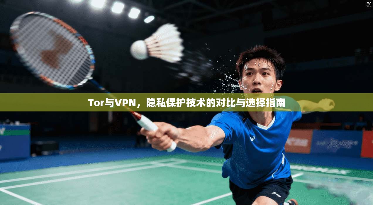 Tor与VPN，隐私保护技术的对比与选择指南