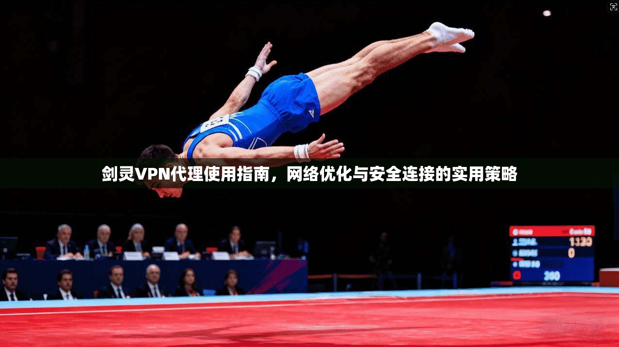 剑灵VPN代理使用指南，网络优化与安全连接的实用策略