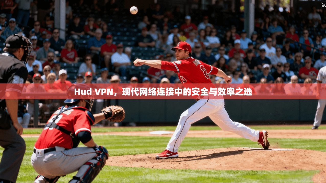Hud VPN，现代网络连接中的安全与效率之选