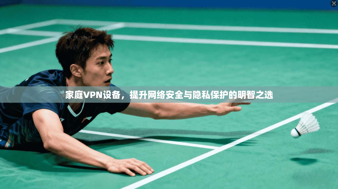 家庭VPN设备，提升网络安全与隐私保护的明智之选