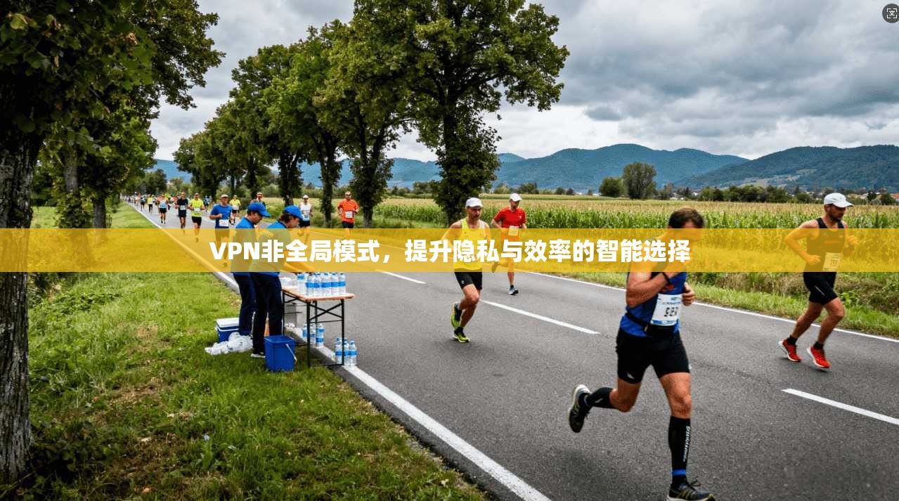 VPN非全局模式，提升隐私与效率的智能选择