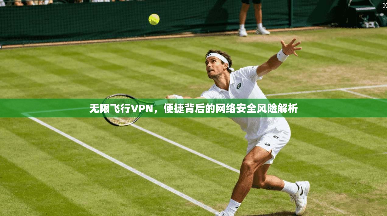 无限飞行VPN，便捷背后的网络安全风险解析