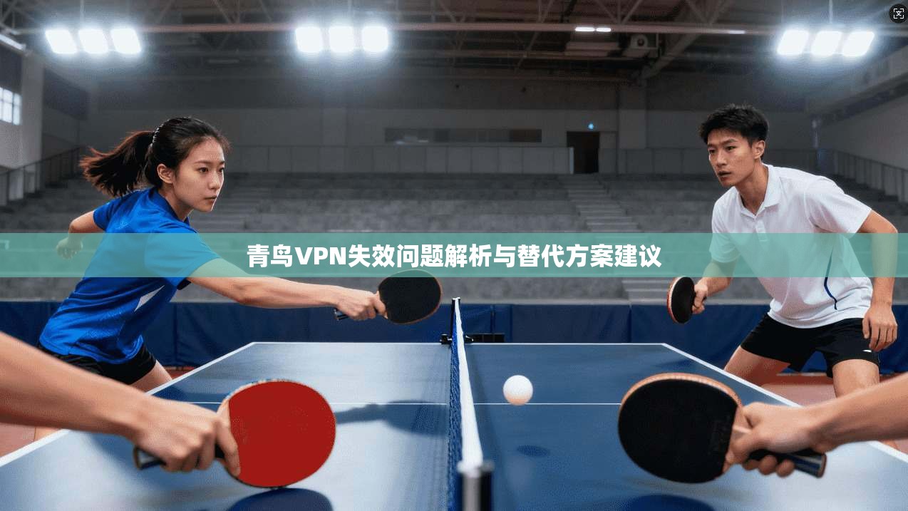 青鸟VPN失效问题解析与替代方案建议