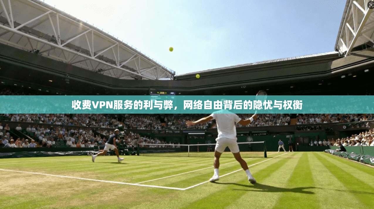 收费VPN服务的利与弊，网络自由背后的隐忧与权衡