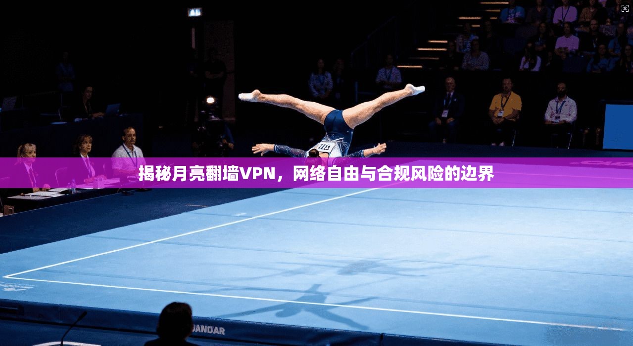 揭秘月亮翻墙VPN，网络自由与合规风险的边界
